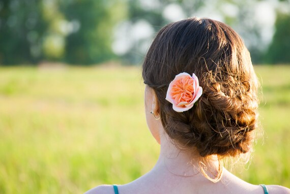 David Austin Rose Hair Pin English Rose Flower Headpiece Etsy