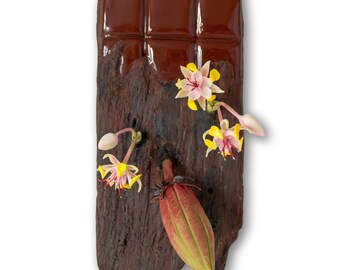 Cacao life cycle sculpture, Chocolate lover gift, Bean to bar decor, Unique botanical food art, Cacao pod and flower, Artisan, Chocolatier