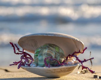 Anthropomorphic Pearl Sculpture in Shell, Coastal Decor, Ocean Art, Unique Collectible Gift for Artist, Curio cabinet, Gustav Klimt inspired