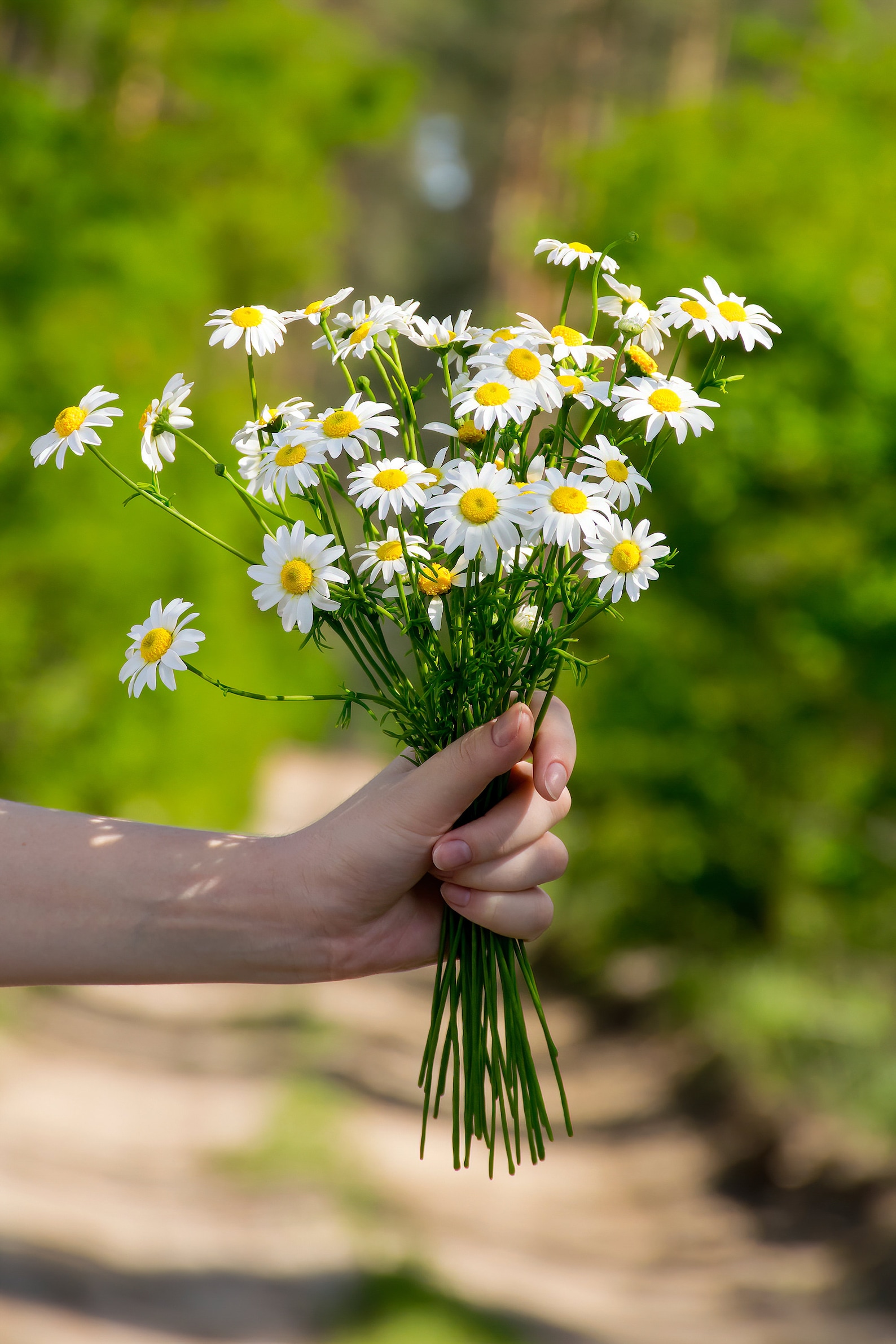 Artificial Daisy Bouquet for Home Chamomile Flowers Etsy