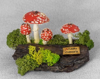 Amanita muscaria sculpture - Botanical fungi art, Scientific mushroom figurine, Realistic mushroom decor, Mycology gift for botanists