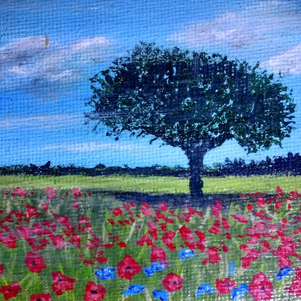 Poppy fields and Flanders tree surround by poppies