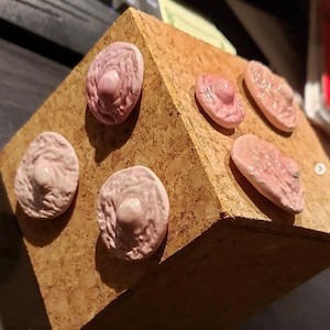 Nipple Pins