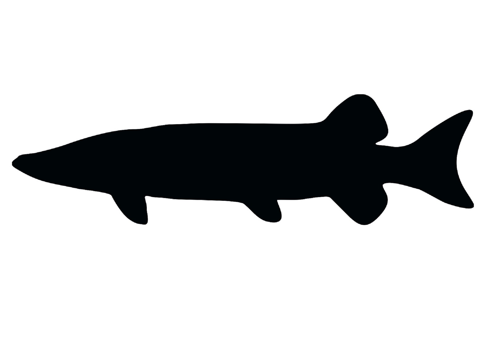Muskie / Northern Pike / Esox Silhouette Fishing Decal - Etsy