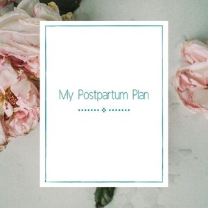 Postpartum Plan, Postpartum Doula, Plan for New Mom, New Mom Plan, Postpartum Support Plan