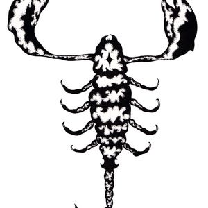 Scorpion Digital