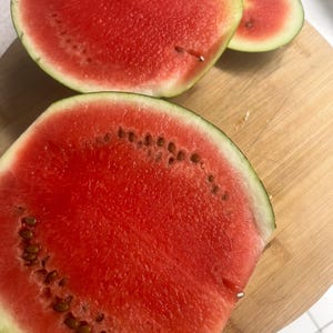 Sugar Baby Wassermelone Kerne