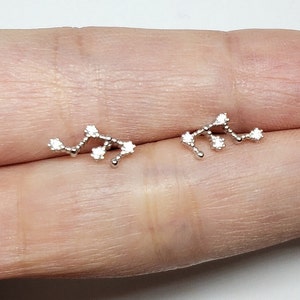 Aquarius Earrings Zodiac Constellation Earrings Sterling Silver Birthday Earrings Zodiac White Rhinestones Stud Earrings