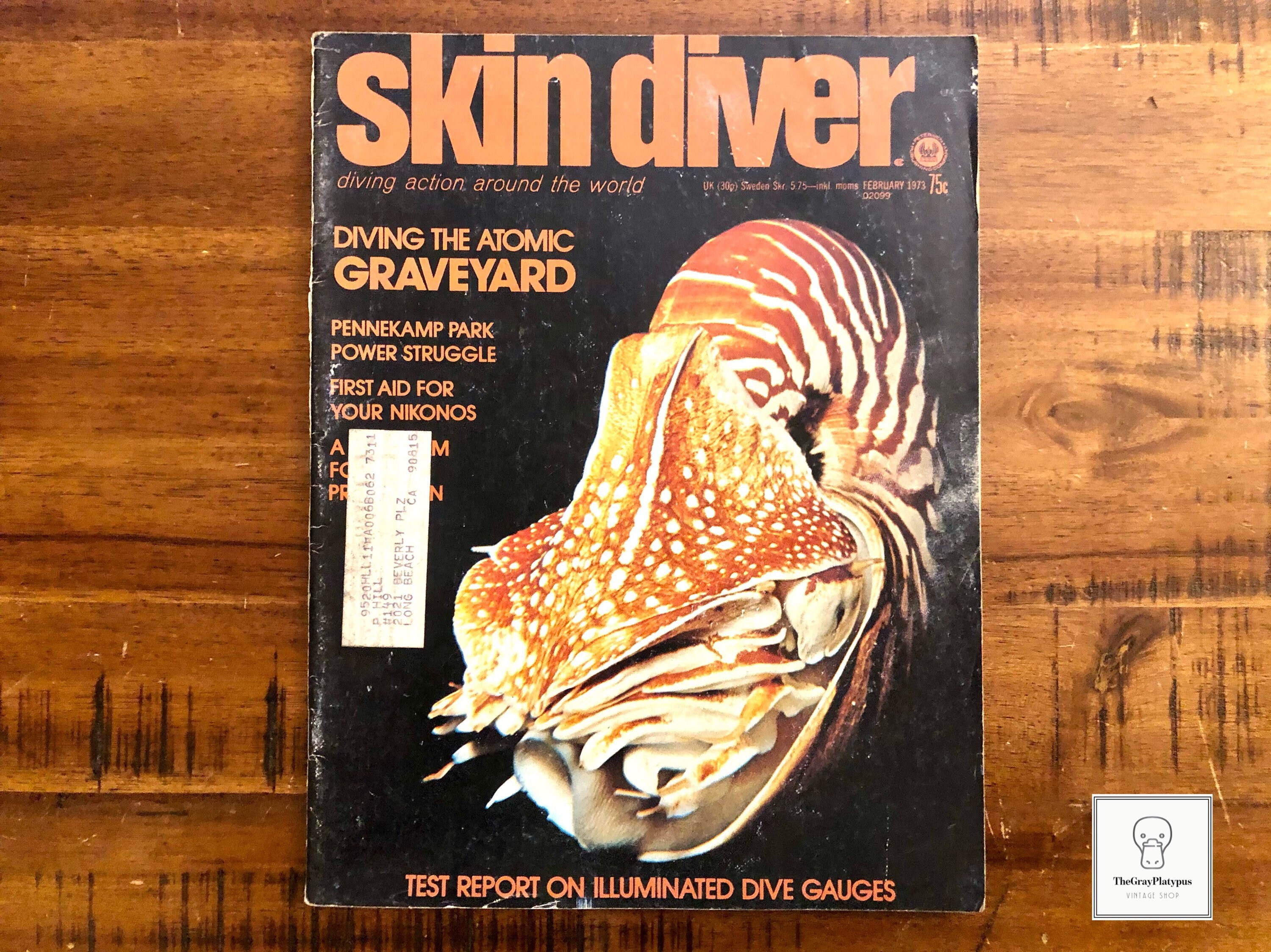 1973 Skin Diver Magazine February Vol. 22 2 / Vintage / Etsy