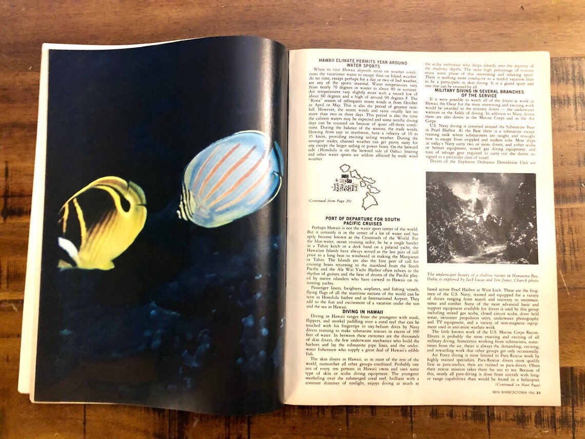 Rare 1965 Skin Diver Magazine October Vol. 14 10 / John Etsy