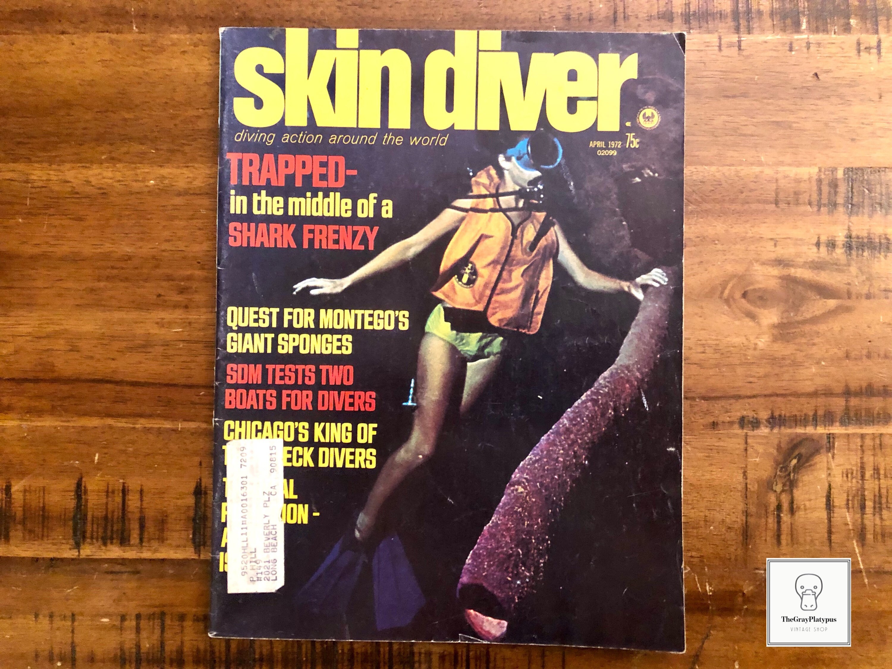 1972 Skin Diver Magazine April Vol. 21 4 / Vintage / Retro / Etsy