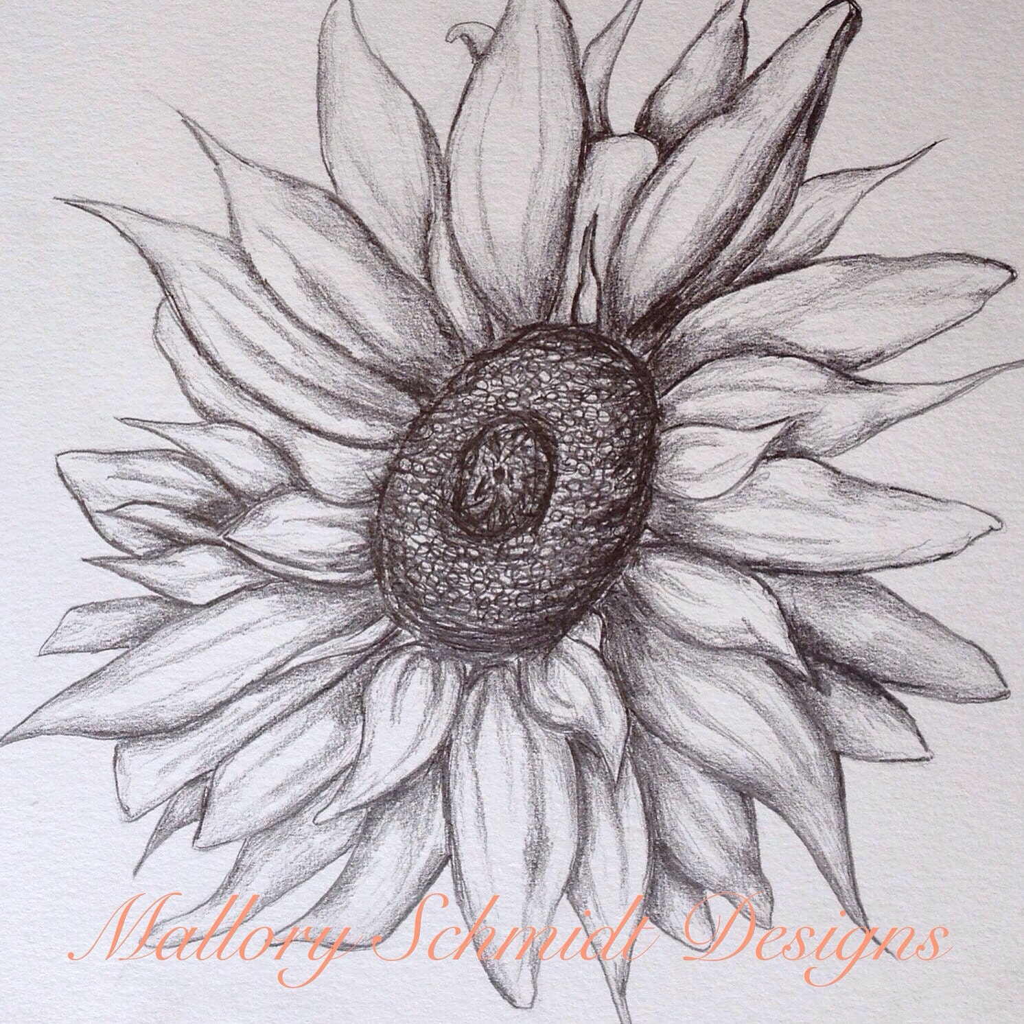 Sunflower home decor original pencil drawing wall art sunflower drawing gray wall art original art fine art black and white pencil drawings