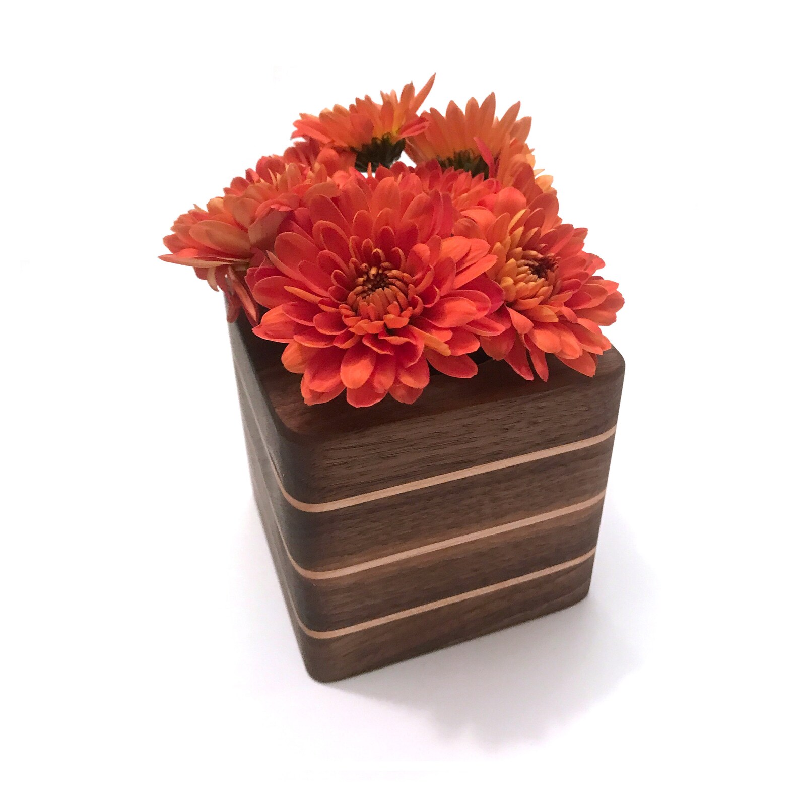 Desktop Planter in Solid Walnut and Maple Hardwood With Glass - Etsy