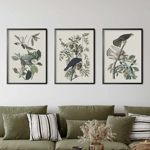 PRINTED Vintage Birds & Branches Set of 3 Art Prints, Printed and Shipped Poster Art, Neutral Large Wall Art