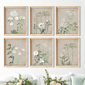 PRINTED Set of 6 Vintage Beige Background Flowers Art Prints - Wall Art Print Set, Printed and shipped