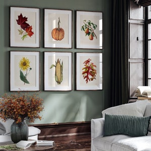 GEDRUCKT Herbst Vintage Garten Gemüse Set von 6 Kunstdrucken - Herbst Wand Art Print Set, gedruckt und versendet