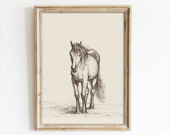 PRINTED Roaming Horse Vintage Sketch Art Print | Vintage Antique Country Art Print