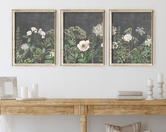 Printed And Shipped Art Prints - Set of 3 prints, Vintage Garden Art Print Set