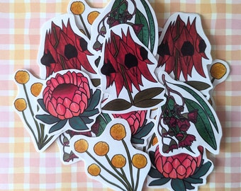 Native Australian Flowers Stickers/Decals - Billy Buttons, Flowering Gum, Sturt Desert Pea, Protea