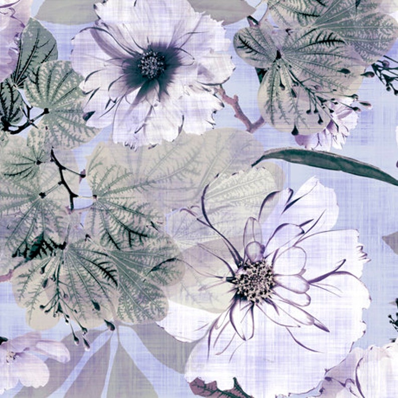 Puede incluir: Una impresi&oacute;n de arte digital con un dise&ntilde;o floral con flores blancas y hojas sobre un fondo azul claro.