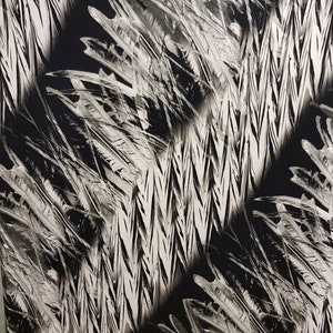 JERSEY viscose feathers plumage dress black white