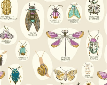 Organic cotton by Cloud9 Fabrics INTO THE WOOD insects pastel