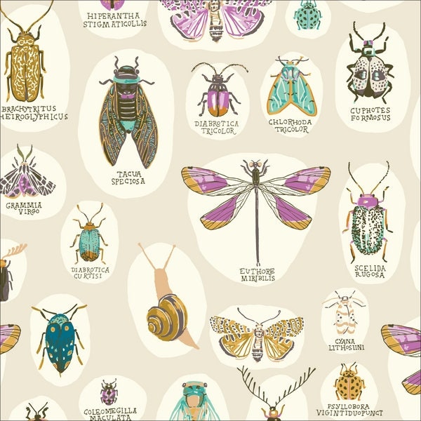 Organic cotton by Cloud9 Fabrics INTO THE WOOD insects pastel