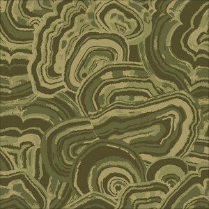 Puede incluir: Patrón abstracto con círculos concéntricos en tonos de verde y marrón. El patrón se asemeja a un primer plano de una roca o mineral.