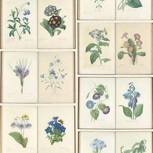 Baumwolle ROYAL BOTANICAL Garden  by RJR Fabrics Blumen Panel 60 x 110 cm