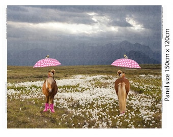 Stenzo Jersey Pony mit Schirm Panel II