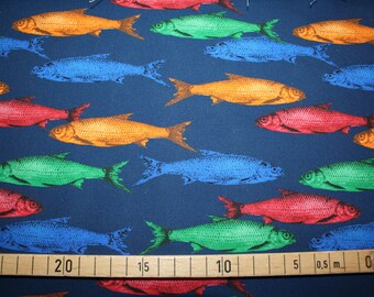 Canvas print of a school of colorful fish