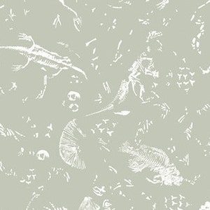 Baumwolle Art Gallery Fabrics Esoterra Archosaurossilis zartmint Fossilien