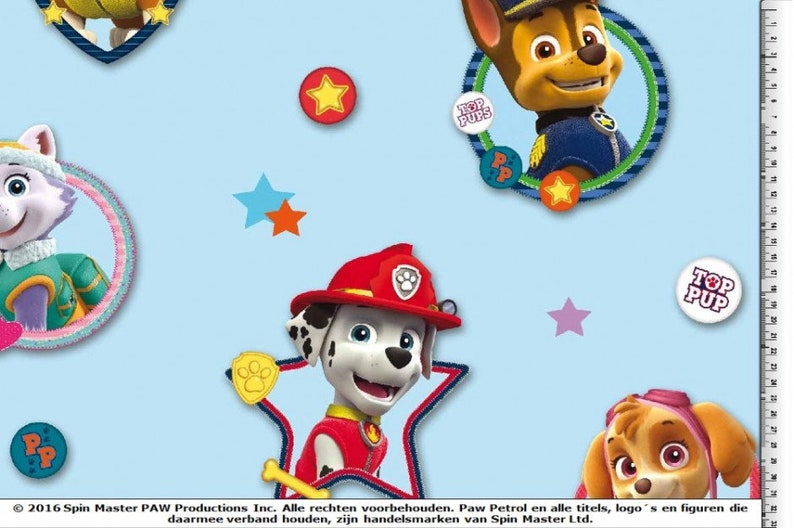 Details About Comansi Paw Patrol Ryder Chase Rubble Sky Zuma Marshall Rocky Everest Figurines