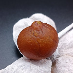 Natural Amber Brown Drop, Full Skin Pattern, 14.3 g, Amber Gemstone, para coleccionistas