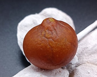 Natural Amber Brown Drop, Full Skin Pattern, 14.3 g, Amber Gemstone, for collectors