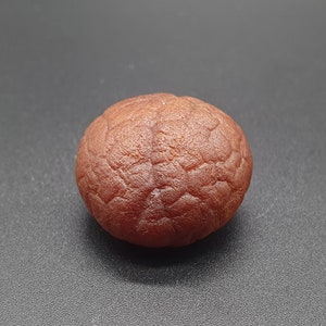 Natural Amber Brown Drop, Full Skin Pattern, 9.6g, para coleccionistas, #393