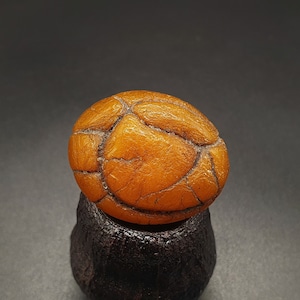 628 Natural Amber Brown Drop, Full Skin Pattern, 5.5g, Amber Gemstone, para coleccionistas