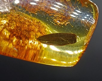 Natural Amber Pendant, Amber with Inclusions, Prehistoric Leaf, 925 Sterling Silver, Transparent Yellow with Brown, Rectangle Shape