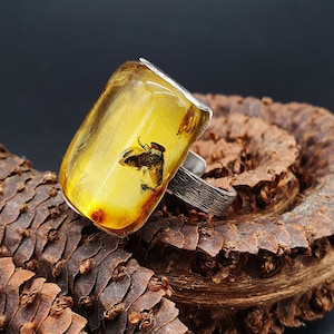 669 Natural Amber Ring, Amber with a Fly, Transparent Yellow Amber, 925 Sterling Silver, Adjustable Ring 15+, Amber Jewelry