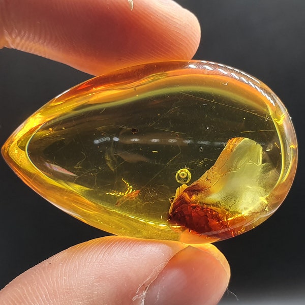 719 Natural Amber Drop with Inclusions, Air Bubble , Spider Web, Yellow Transparent Amber, for collectors