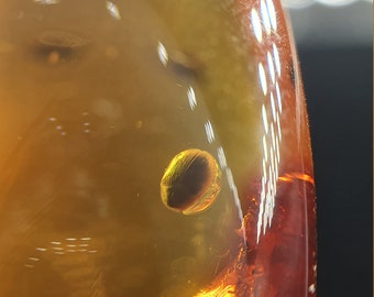 719 Natural Amber Drop With Inclusions Air Bubble Spider 