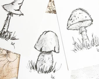 Dibujo original de hongos a carboncillo, boceto, arte mural de naturaleza boscosa, dibujo a mano de boletus, pintura, obra de arte