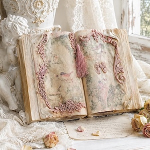 Vintage roze open boek vogels ontwerp, aangepast boek, shabby chic Frans decor