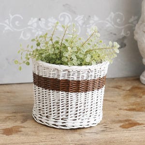 May include: A cylindrical woven basket planter featuring a white finish with a single horizontal band of dark brown woven material around the centre. The basket contains a small, leafy green plant with light-coloured edges on the foliage.