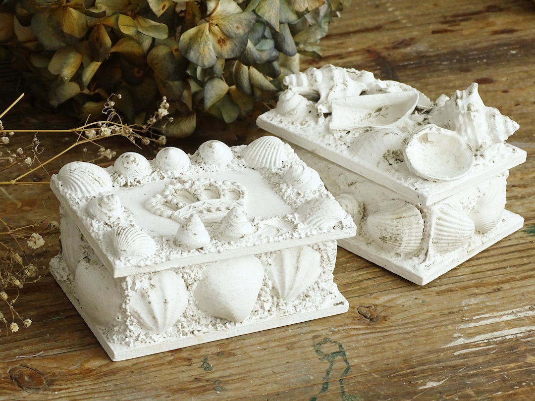White Seashell Jewelry Box Lid Trinket Treasure Keepsake Box Etsy
