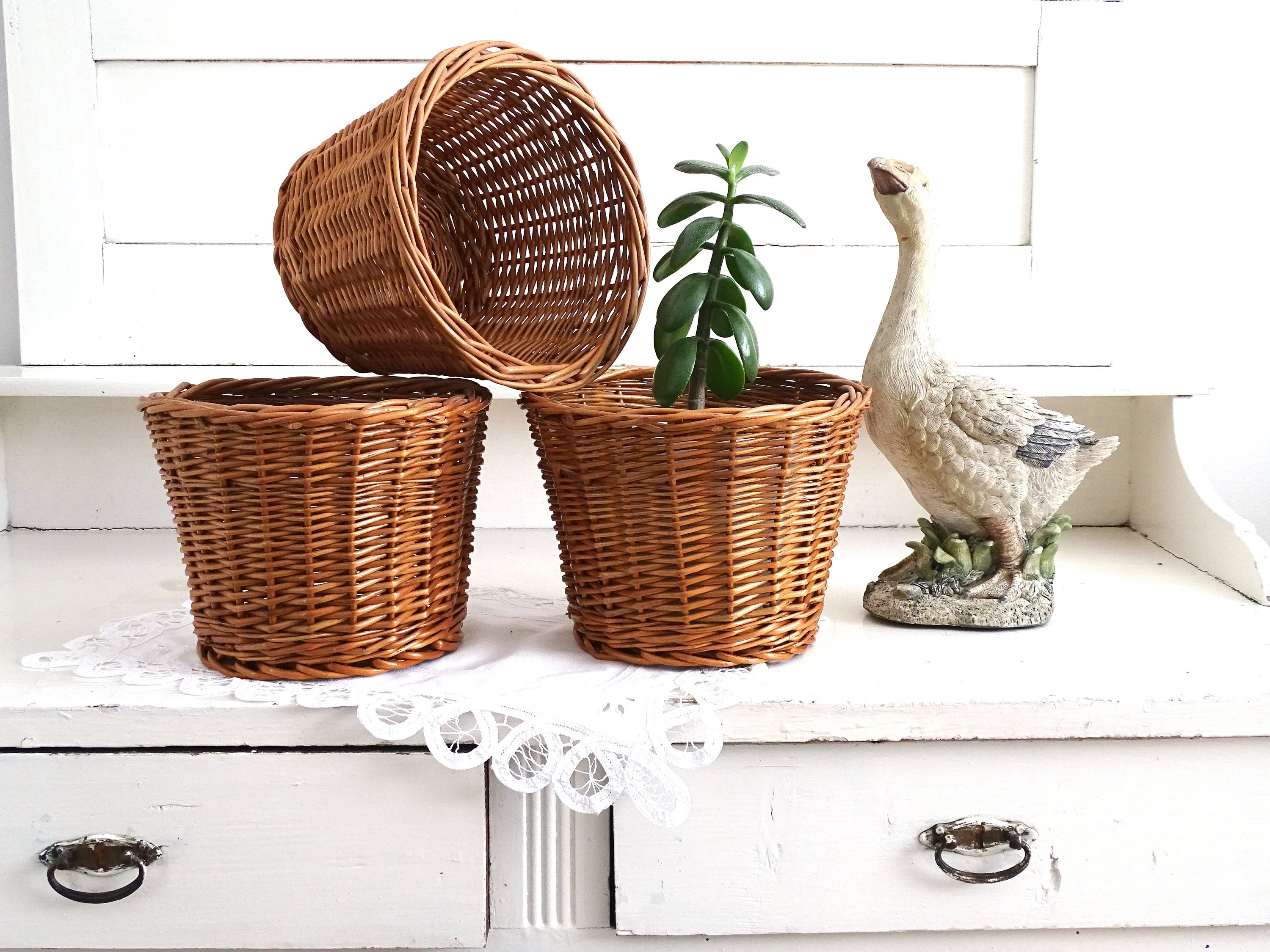 Wicker Plant Basket Hand Woven Houseplant Basket Rattan Middle Etsy