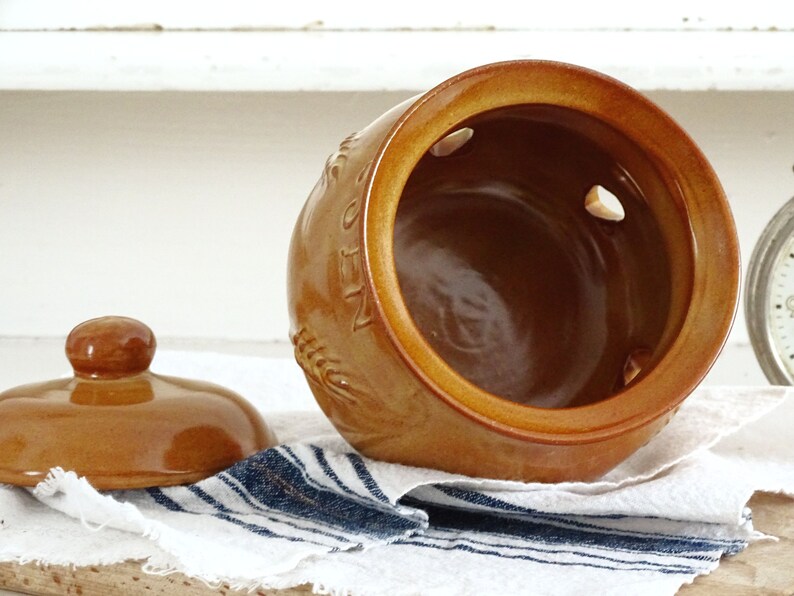 Home & Living Ceramic Garlic Keeper Crock Rustic Terracotta Garlic