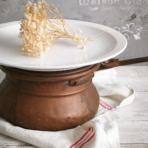 Puede incluir: Un plato redondo de cer&aacute;mica blanca descansa sobre una olla de cobre desgastada con un mango de metal. Un peque&ntilde;o racimo de flores secas de paniculata de color crema yace sobre la superficie del plato. La olla de cobre muestra oxidaci&oacute;n.