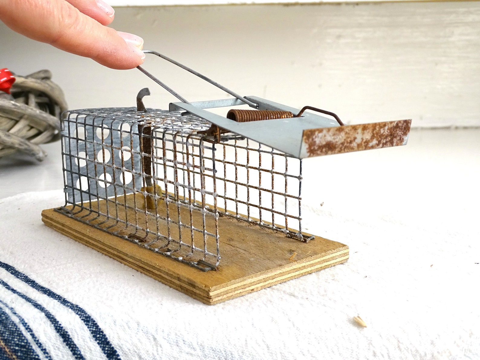 Vintage Mouse Trap Wire Cage Old Rusty Mousetrap Catcher Etsy