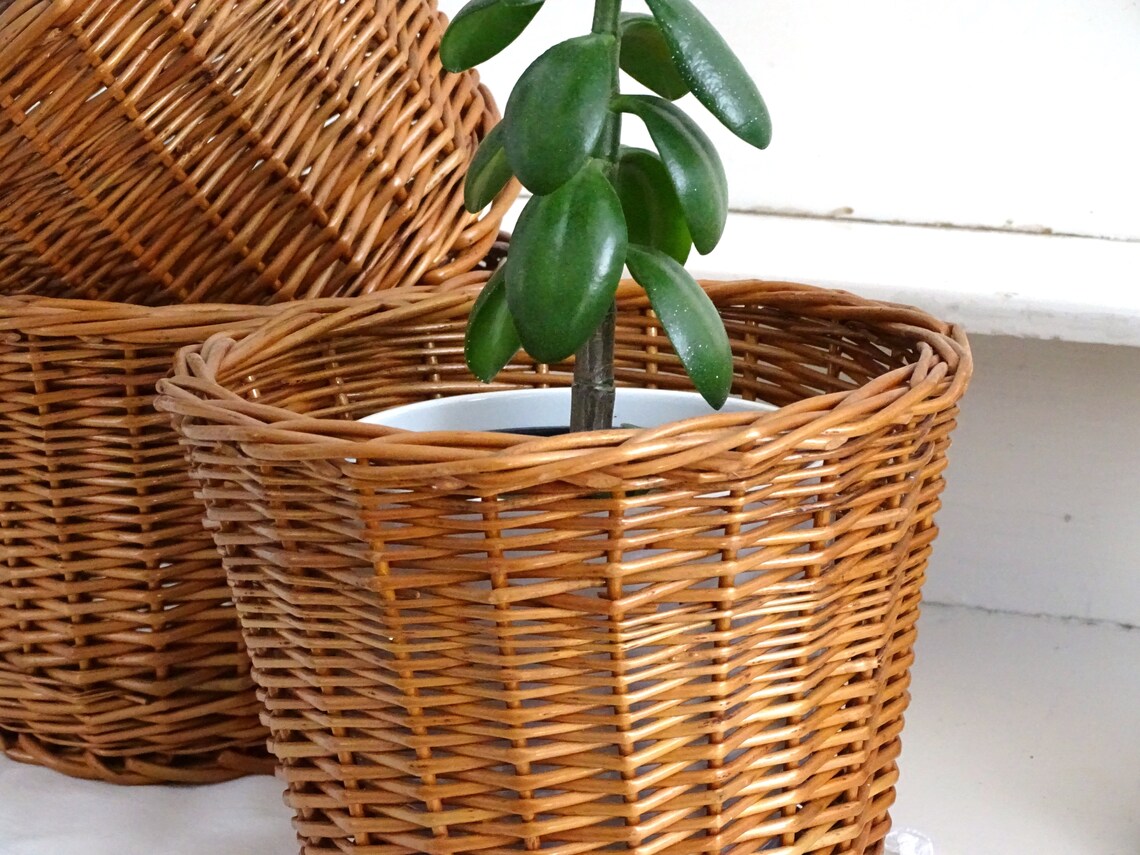 Wicker Plant Basket Hand Woven Houseplant Basket Rattan Middle Etsy